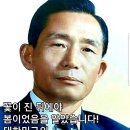 푸른산