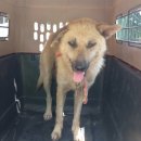 CU통영안정골드점 이미지