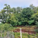 방배숲환경도서관 이미지