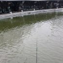 자일낚시터 이미지