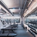 빌리버짐 이미지