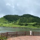 무릉도원 이미지