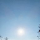 1715 | 해남 3 고산 윤선도 녹우당에서 푸른 비를 맞으며 다섯 벗을 생각하다