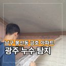 한성당건재약업사 | 광주 남구 봉선동 누수탐지 금호 아파트 욕실 타일 작업 후기