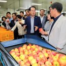 괴산농산물유통센터 이미지