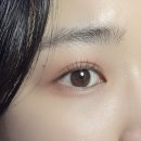 네츄럴플래닛 | 에스투엔디 컬러라이즈섀도우 청담메이크업샵 추천템 써본 후기!