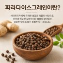 파라다이스 - 북구 당뫼로8번길 49 | 파라다이스