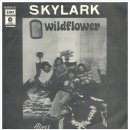 Wildflower -Skylark - 이미지