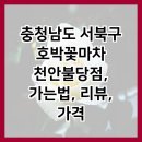 호박꽃마차천안불당점 이미지