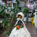 인형나라 이미지