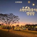 연화오토 | 고성 캠핑장 오후애캠핑, 가족 캠핑 솔직 평가 — 시설·가격·예약 정보