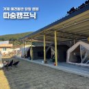 도구로1길 51 | 거제 애견동반 당일 캠핑 아이와 따숨캠프닉 내돈내산