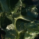 김 약 국 이미지