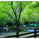 동화야영장 이미지