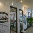 브룩스 캣 카페 이미지