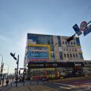 숲속동물병원 | 용인 한숲시티 숲속동물병원