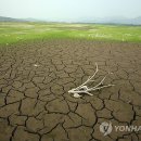 나라와우리 이미지