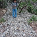 대한환경 행정사 이미지