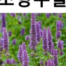 늘건강온누리약국 네이버블로그
