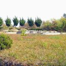 연곡리 농장 이미지