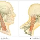 참편한마취통증의학과의원 이미지