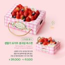 요거트시즌