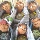 이천농장 이미지