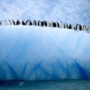 빙산(Iceberg) 풍경들 이미지