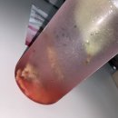 영건강식품
