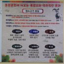 숲안 다목적회관 | 청주 염소탕 [숲속의산양] 유도회관 맛집 용암동 보양식 솔직후기