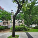 셀카봉 추천 - 욜로 4세대 / 지라프 갤럭시 삼각대 사용 후기