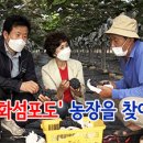 강화섬농장 이미지