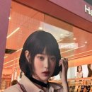 하파크리스틴 강남역점 이미지