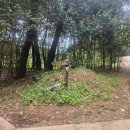 남정초등학교후문 이미지