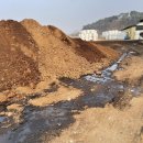 현대농장(4) 이미지