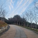 해수바다이야기 이미지