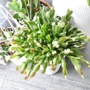 빅스토아 이미지