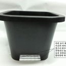 산수정원 이미지