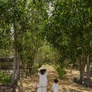 아남농장 이미지