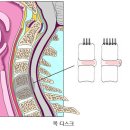 목통증[목디스크] 완화하는 운동방법 - 광혜병원신경외과 이미지