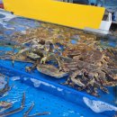 어시장칼국수 이미지