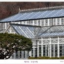 꽃님 이미지