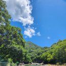 화개초등학교왕성분교장 이미지