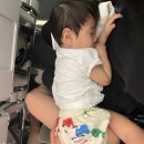 육동시장 | 돌아기랑 베트남 다낭여행 윙크호텔 0.5박, 한시장투어