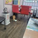 우아한공인중개사사무소 이미지