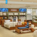 코리아덕 이미지