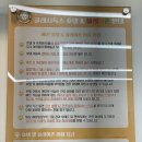 클래시독스 이미지