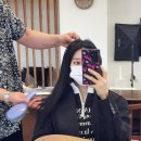 모모브릿지