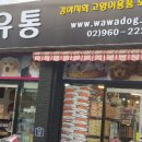 와와유통 - 부천시 원미구 장말로200번길 36 | 와와유통