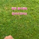 캠핑BORN 이미지